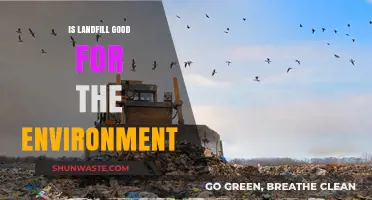 Landfill's Environmental Impact: Harmful Necessity or Sustainable Solution?