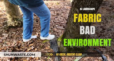 Is Landscape Fabric Harming Our Environment? A Critical Analysis