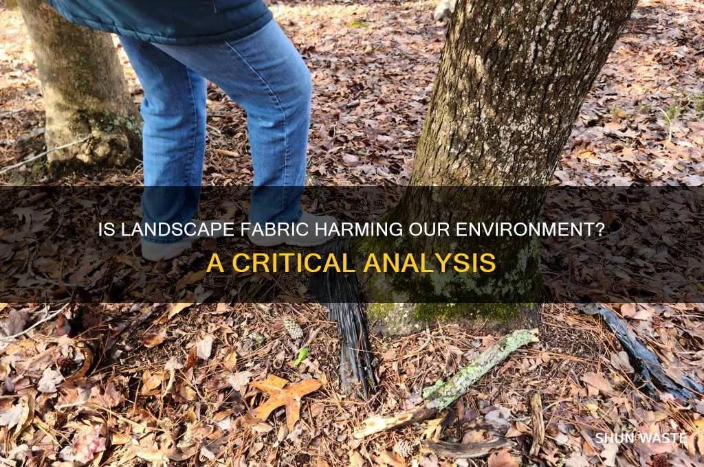 is landscape fabric bad environment