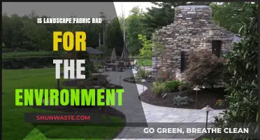 Landscape Fabric: Environmental Impact and Sustainable Gardening Alternatives