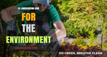 Landscaping's Environmental Impact: Harmful or Sustainable Practice?