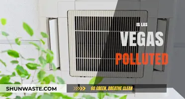 Las Vegas: Pollution and Sin City's Future