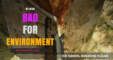 Is Latex Eco-Friendly? Uncovering Its Environmental Impact and Sustainability