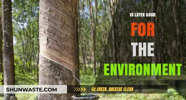 Is Latex Eco-Friendly? Uncovering Its Environmental Impact and Sustainability