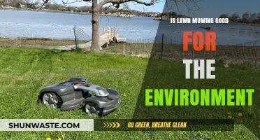 Eco-Friendly Lawn Care: Is Mowing Beneficial for the Environment?