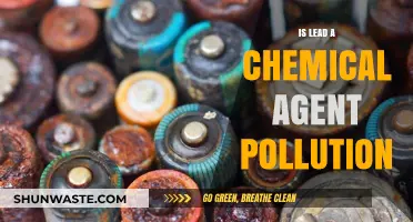 Lead: A Chemical Pollutant and its Health Hazards