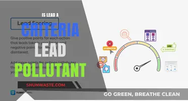 The Toxic Truth: Lead's Criteria as a Pollutant