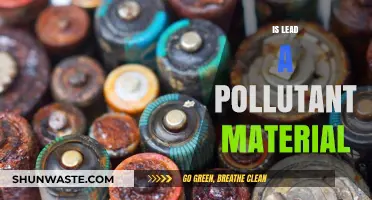 Lead: A Dangerous and Polluting Metal