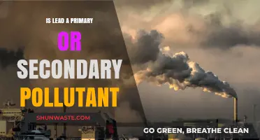 The Mystery of Lead: Primary or Secondary Pollutant?