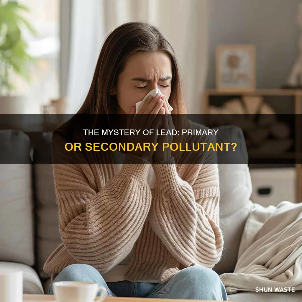 is lead a primary or secondary pollutant