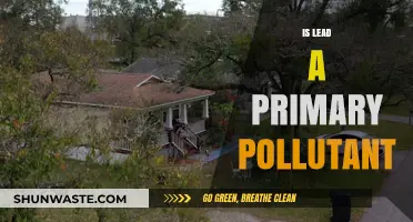 The Mystery of Lead: Primary Pollutant?
