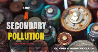 Lead's Secondary Pollution: A Hidden Danger?