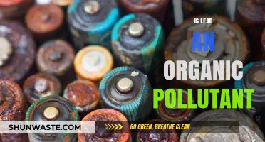 Lead: An Organic Pollutant?