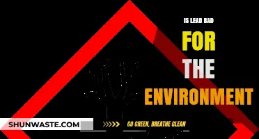 Environmental Impact of Lead: Harmful Effects and Sustainable Solutions