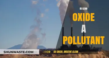 Lead Oxide: A Pollutant or Not?