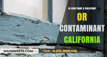 Lead Paint: California's Pollutant or Contaminant?