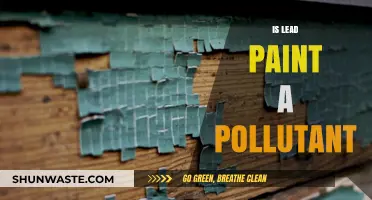 Lead Paint: A Hazardous Pollutant in Disguise