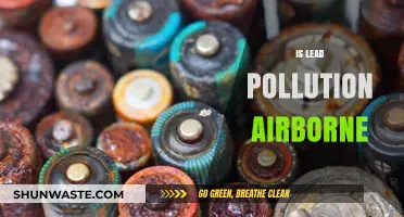 Lead Pollution: Airborne Threat and Global Concern