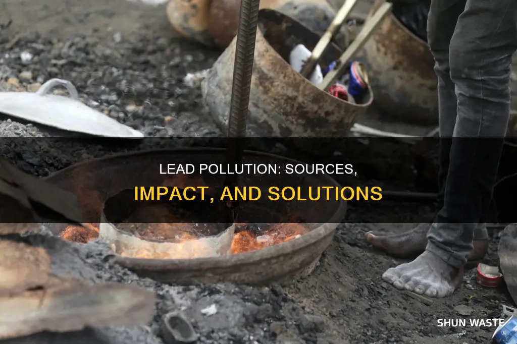 is lead pollution caused by fi