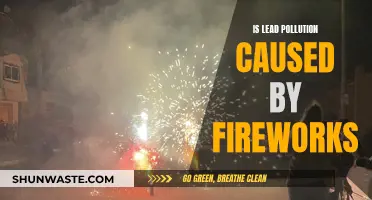 Explosive Fun or Environmental Hazard: Fireworks and Lead Pollution