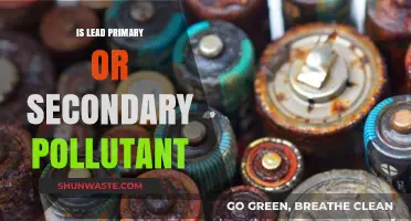 Lead Pollution: Primary or Secondary?