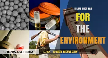 Environmental Impact of Lead Shot: Harmful Effects and Sustainable Alternatives