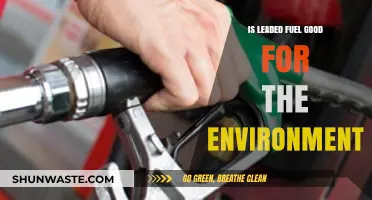 Leaded Fuel's Environmental Impact: Harmful Legacy or Misunderstood Necessity?