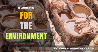 Leather's Environmental Impact: Sustainable Choice or Ecological Concern?