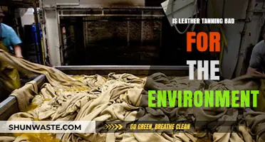 Leather Tanning's Environmental Impact: Sustainable or Harmful Practice?