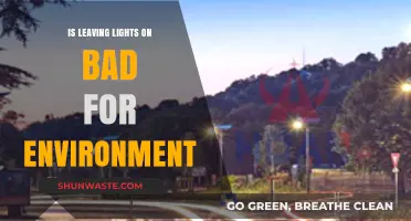 Leaving Lights On: Environmental Impact and Energy-Saving Solutions
