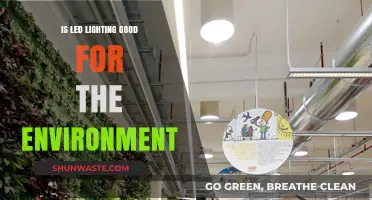 LED Lighting: Eco-Friendly Choice or Environmental Myth?