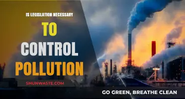 Legislation: Pollution's Necessary Evil?