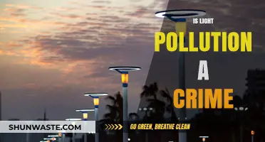 Light Pollution: Criminal Negligence or Unaware Offense?