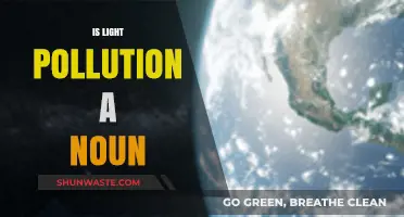 Light Pollution: A Noun With Adverse Effects