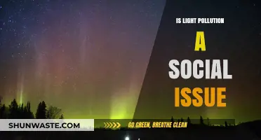 Light Pollution: A Social Issue or Not?