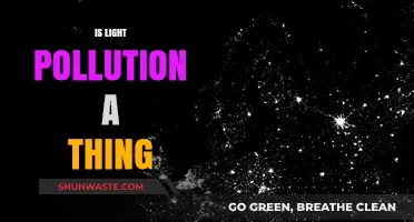 Light Pollution: Is it a Real Problem?