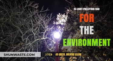 Light Pollution's Environmental Impact: Unseen Consequences of Artificial Illumination