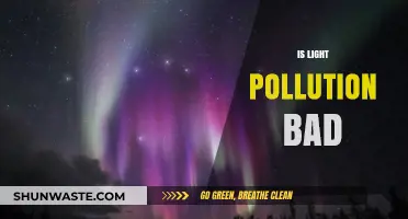 Light Pollution: The Dark Side of Artificial Lighting