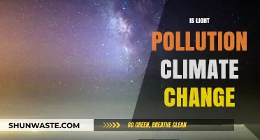 Light Pollution: Climate Change's Dark Side