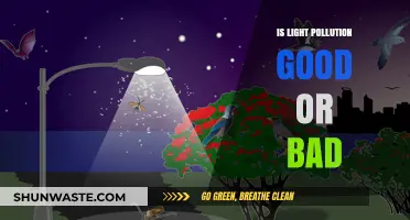 Light Pollution: Bane or Boon?