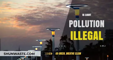 Light Pollution: Legal or Lawless?