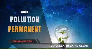 Light Pollution: A Reversible Fate?