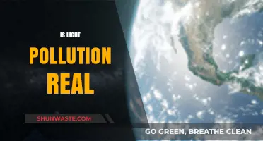 Light Pollution: Is it a Real Threat?