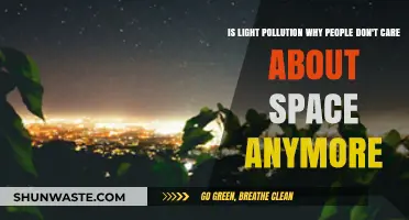 Space Obscured: Light Pollution's Impact on Human Curiosity