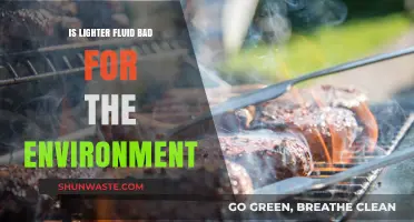 Is Lighter Fluid Harming Our Planet? Environmental Impact Explained