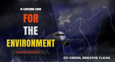 Lightning's Environmental Impact: A Natural Boost or Hidden Hazard?
