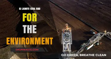 Lignite Coal's Environmental Impact: Harmful Effects and Sustainable Alternatives