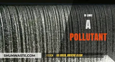 Lime: Pollutant or Not?