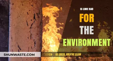 Is Lime Environmentally Harmful? Exploring Its Ecological Impact and Sustainability