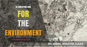 Limestone's Environmental Impact: Harmful Effects and Sustainable Alternatives